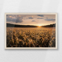 PN-060W040