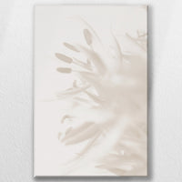 LW-050W075