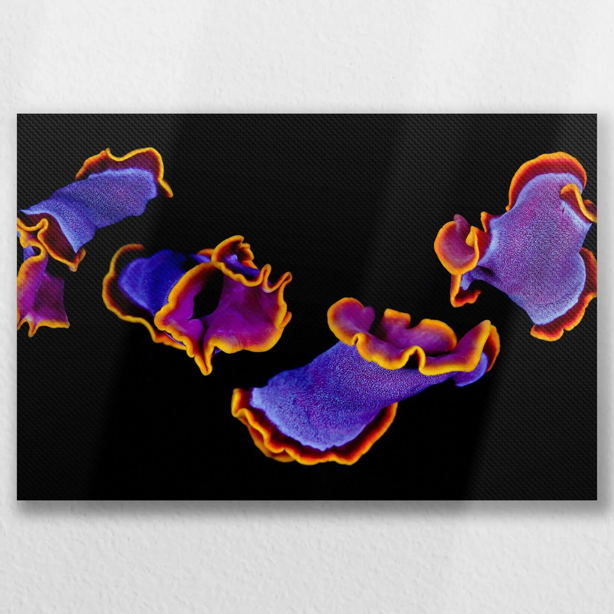 LW-045W030