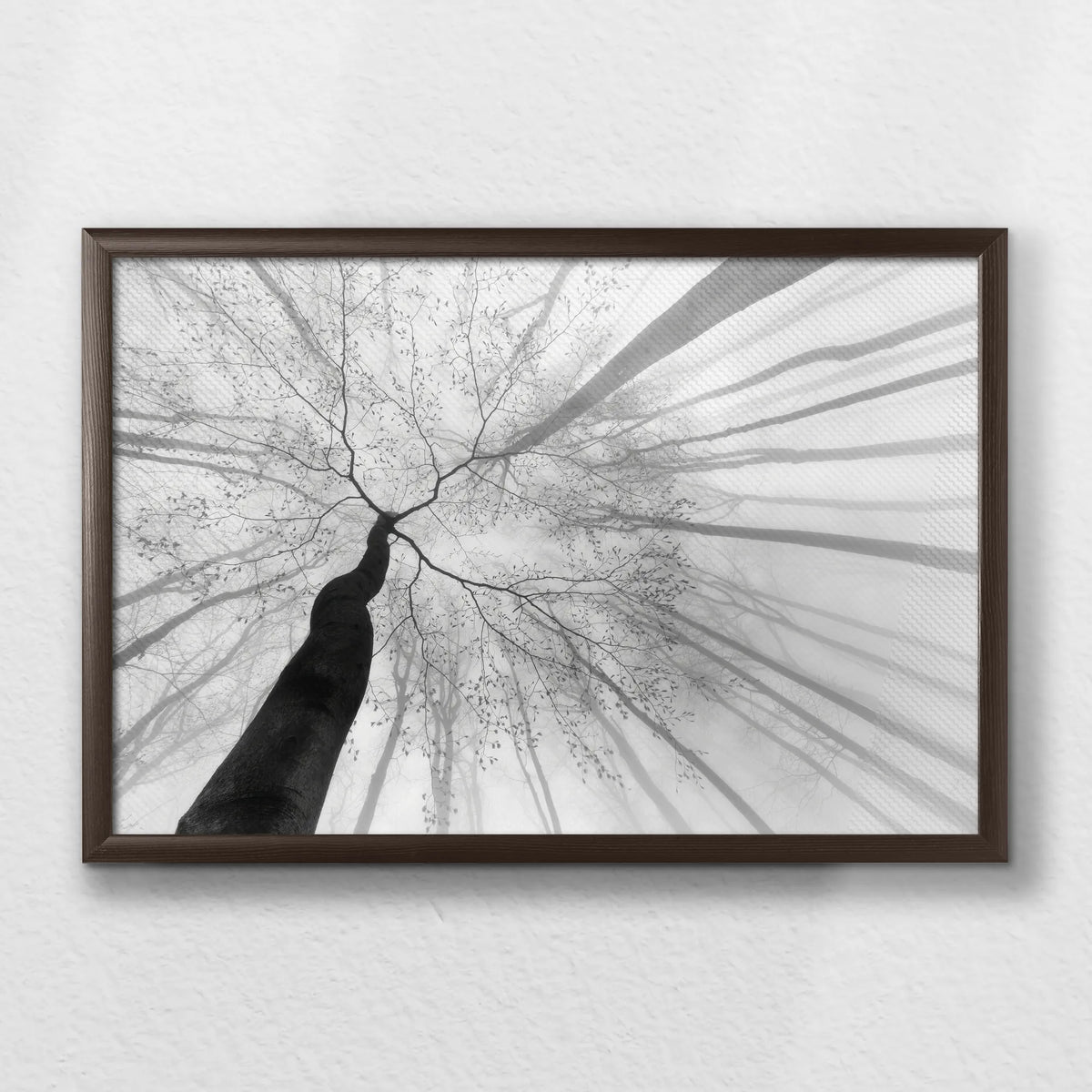 LWN060W040