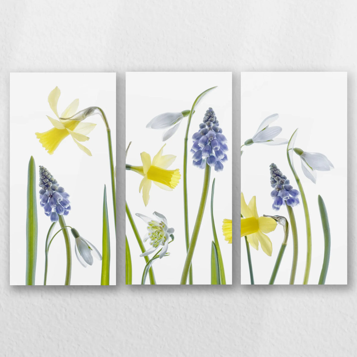 AC-060R040