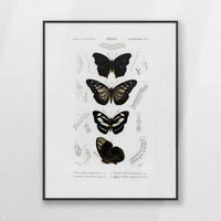 PB-060W080