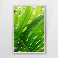 PN-070W100