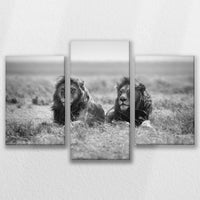 LW-090T060