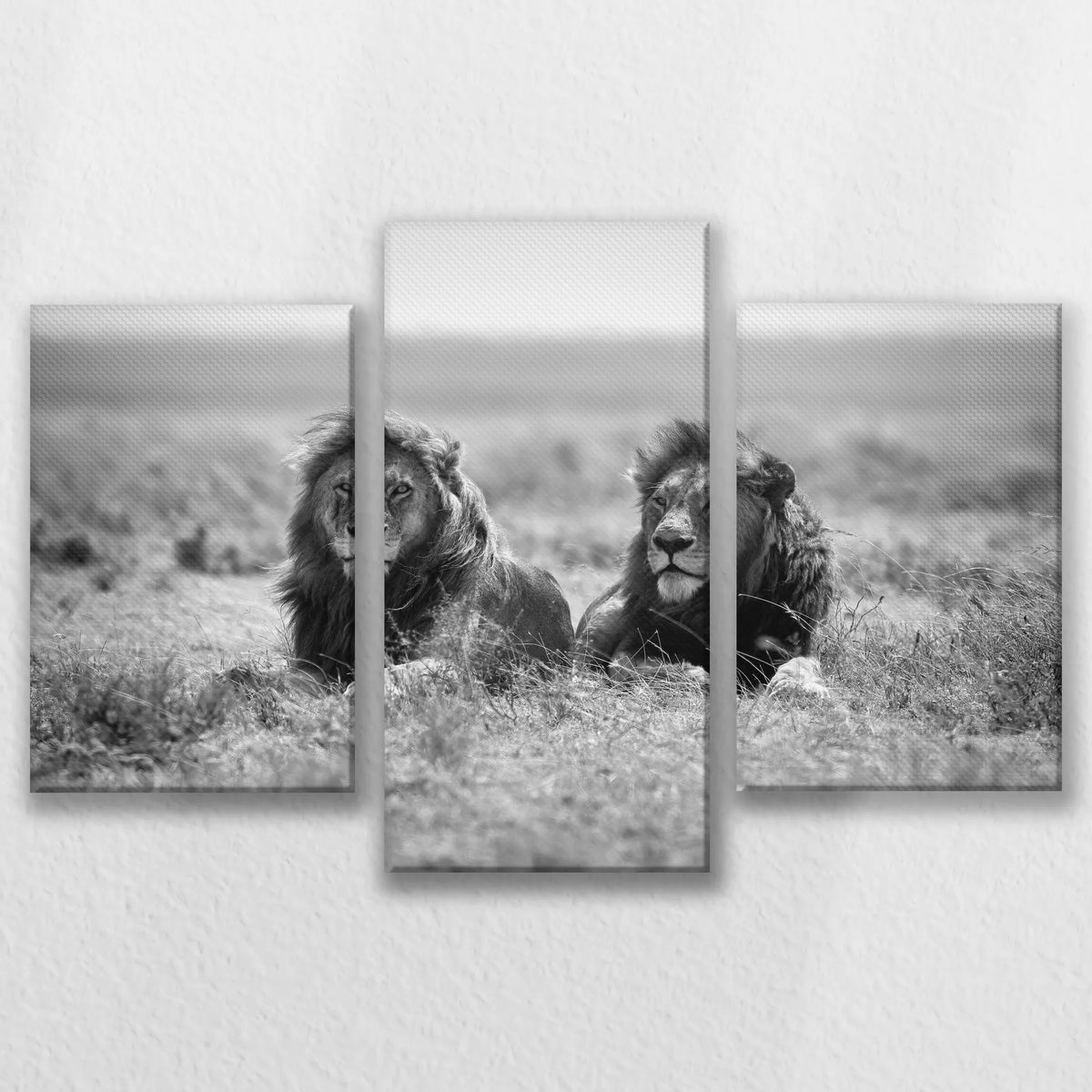 LW-090T060