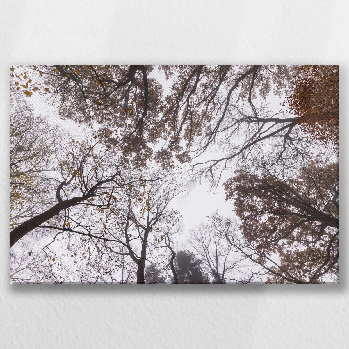LW-045W030