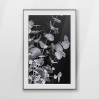 PBP080W120