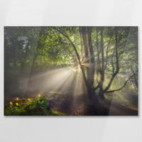 AC-075W050