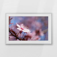 PSP100W070