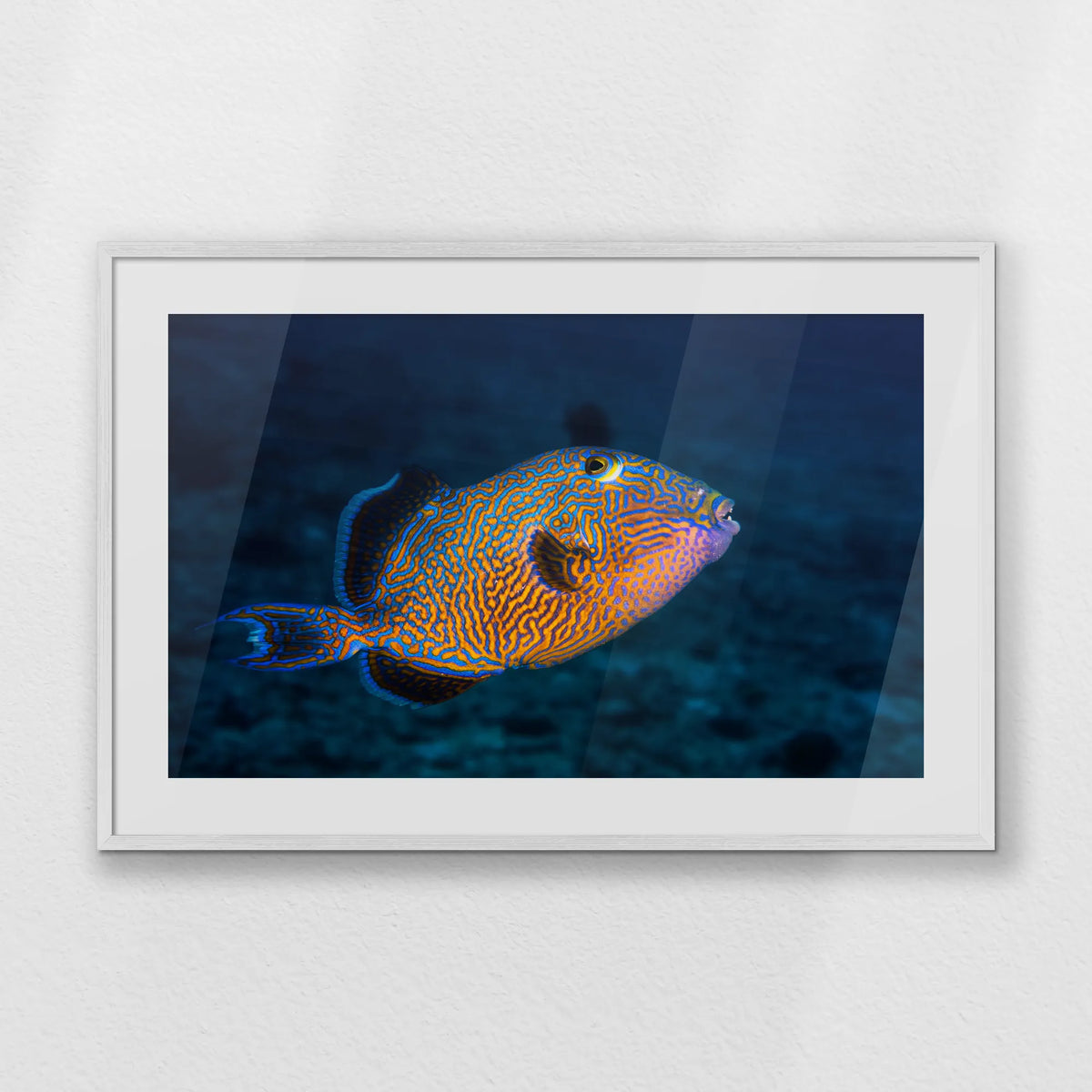 PWP100W070