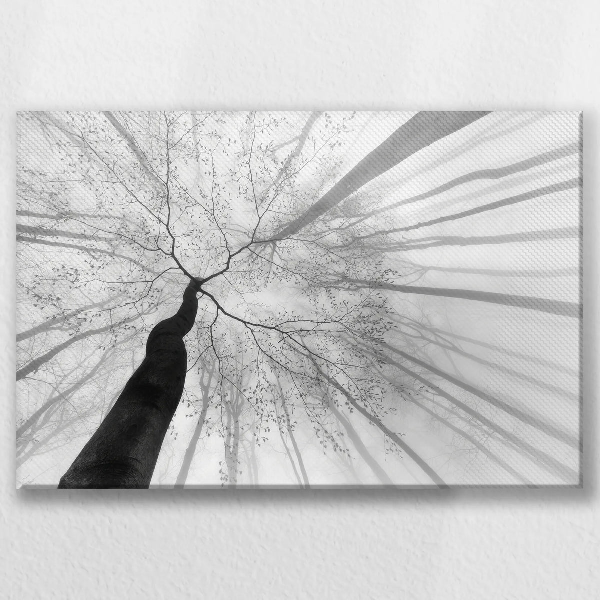 LW-045W030