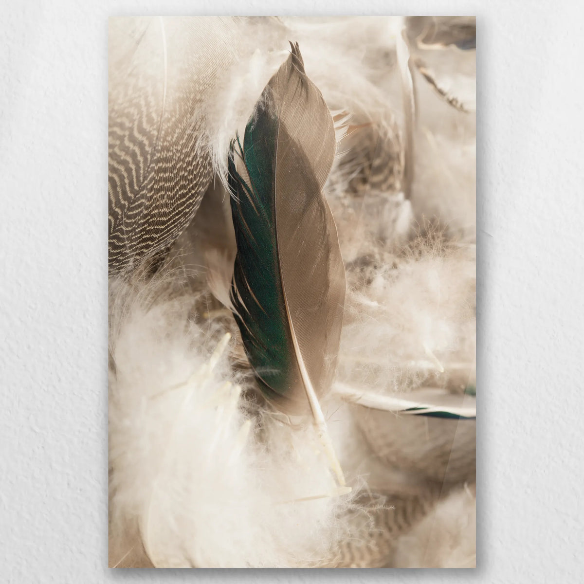 AC-030W045