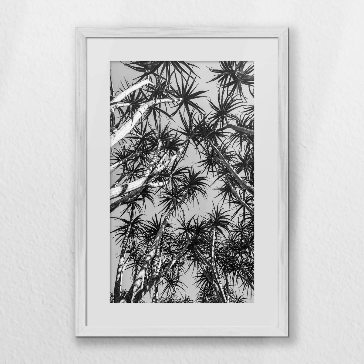 PWP040W060