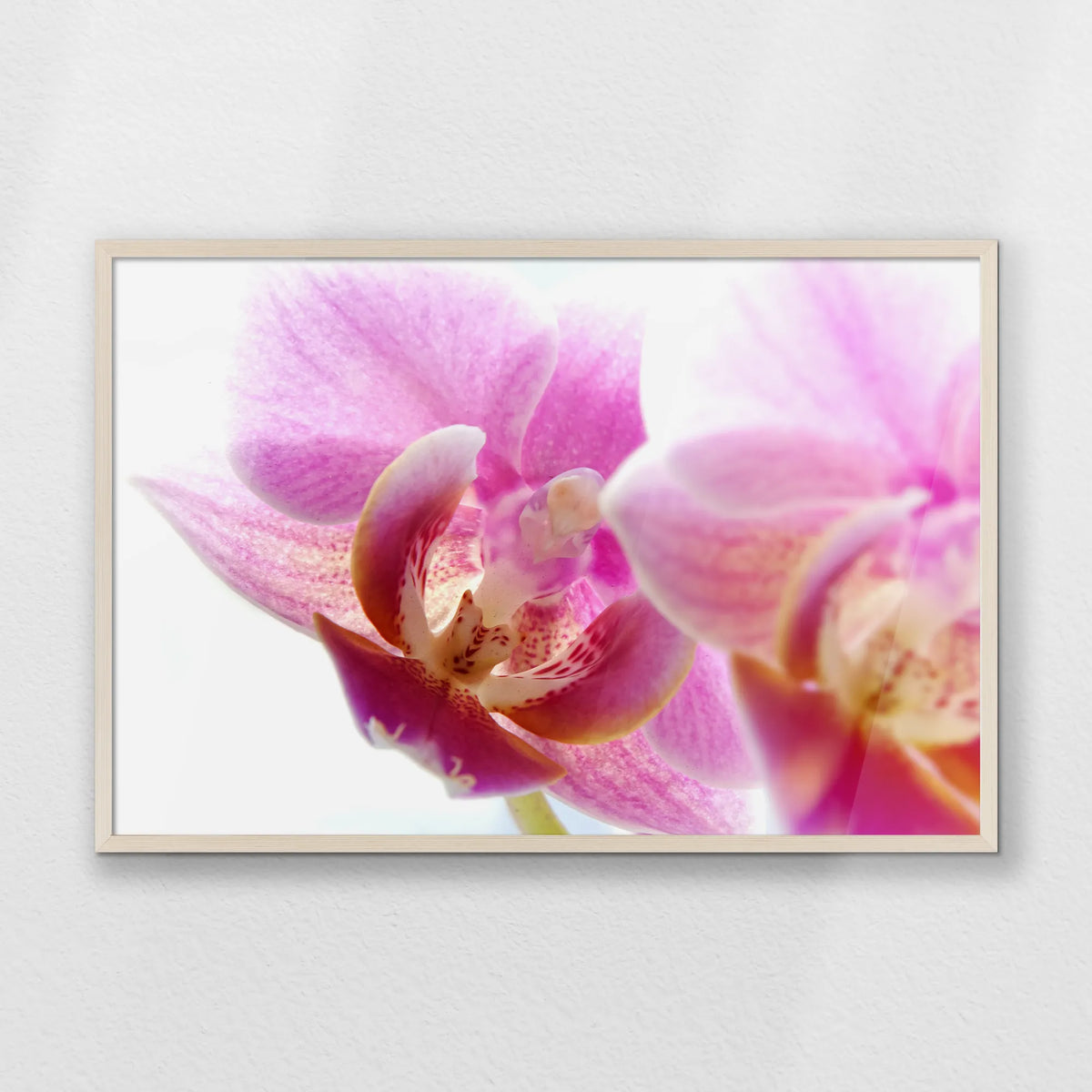 PN-093W062
