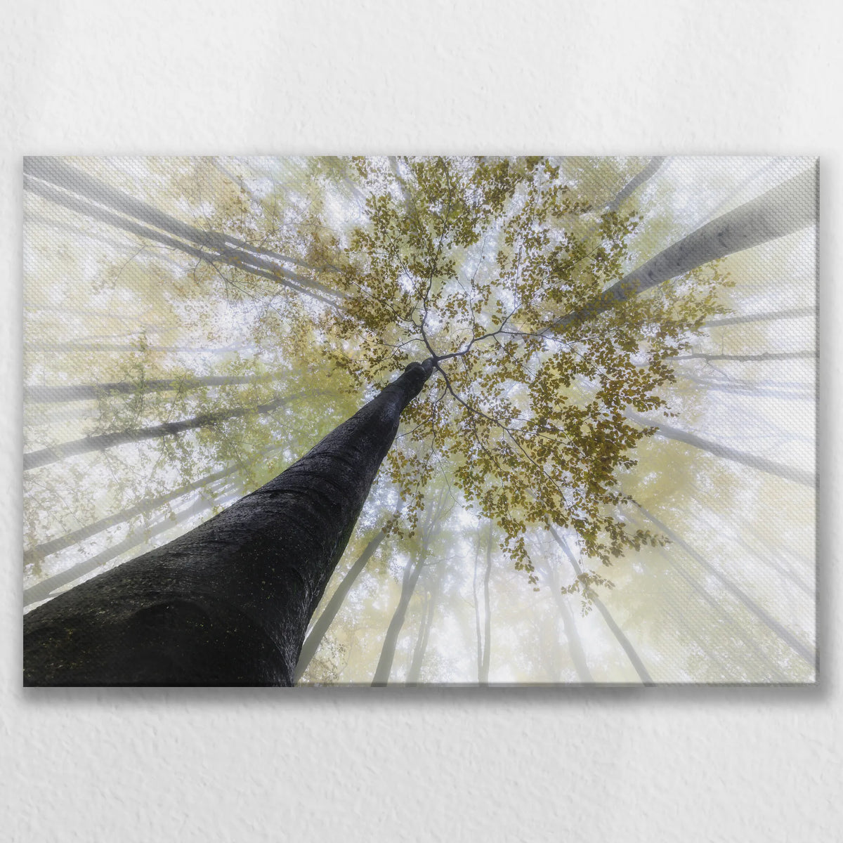 LW-075W050