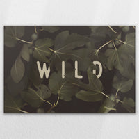 LW-120W080