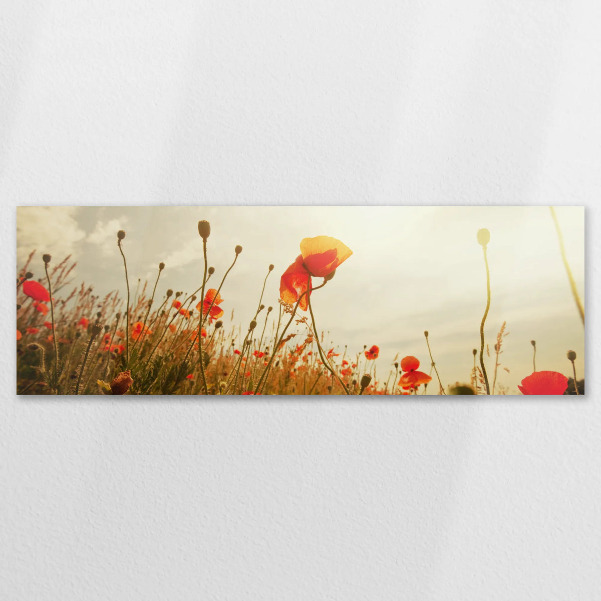 AL-120P040