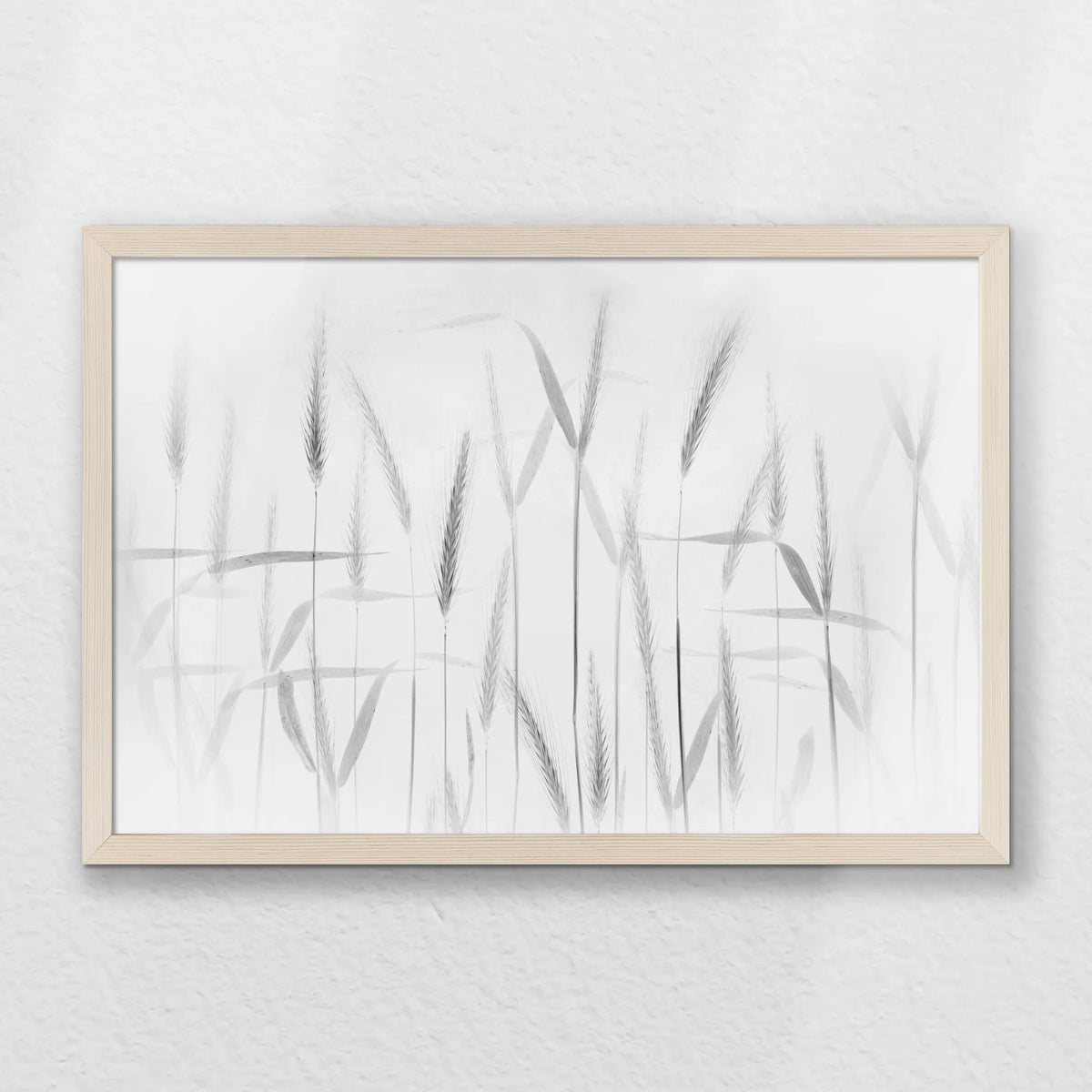 PN-060W040