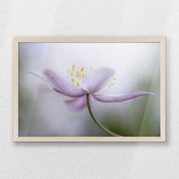 PN-060W040