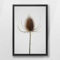 LWB040W060