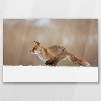 AC-030W020