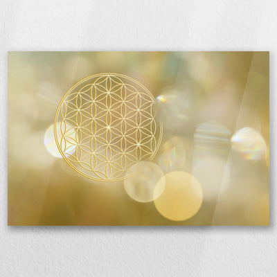 AC-030W020