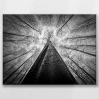 LW-040W030