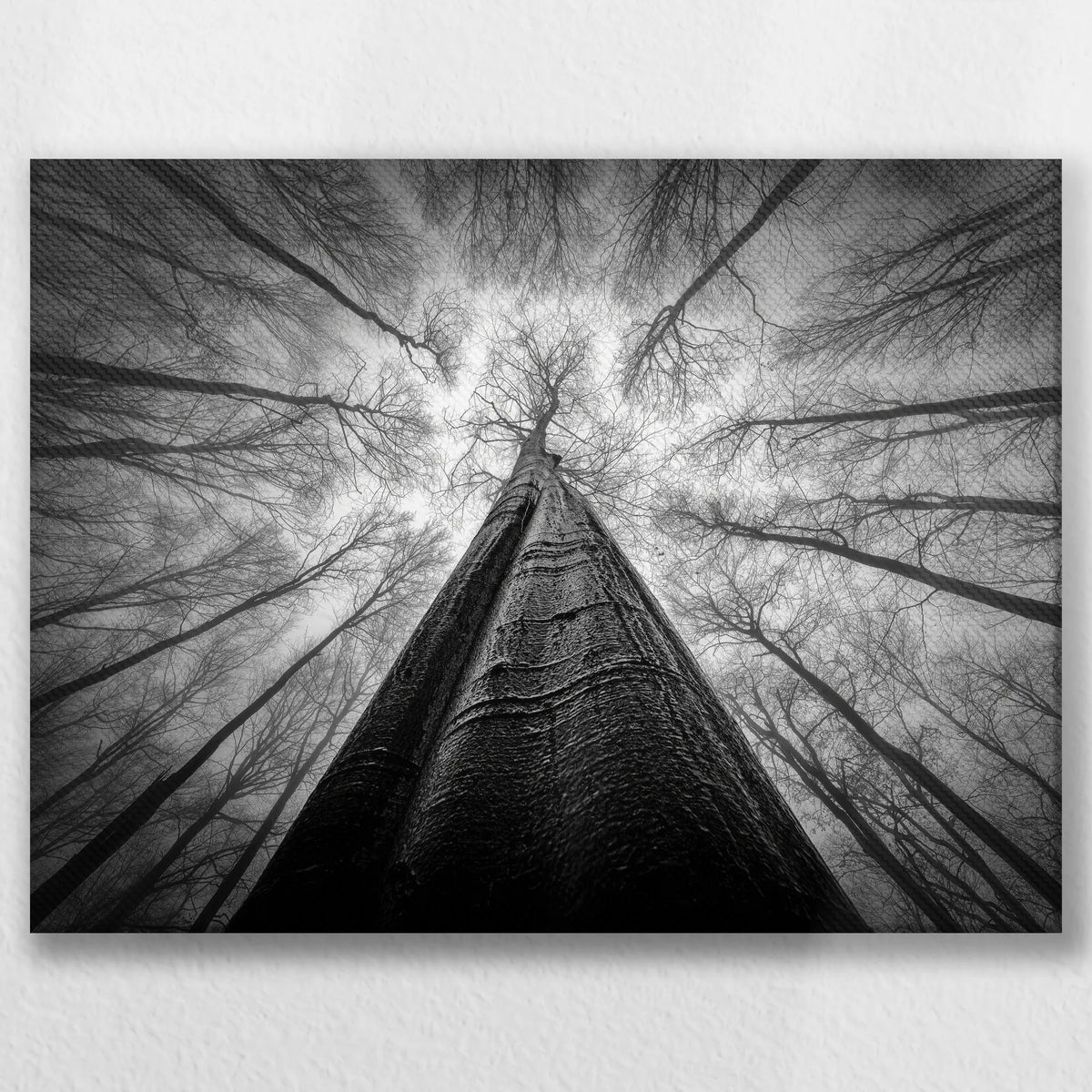 LW-040W030