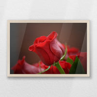 PN-060W040