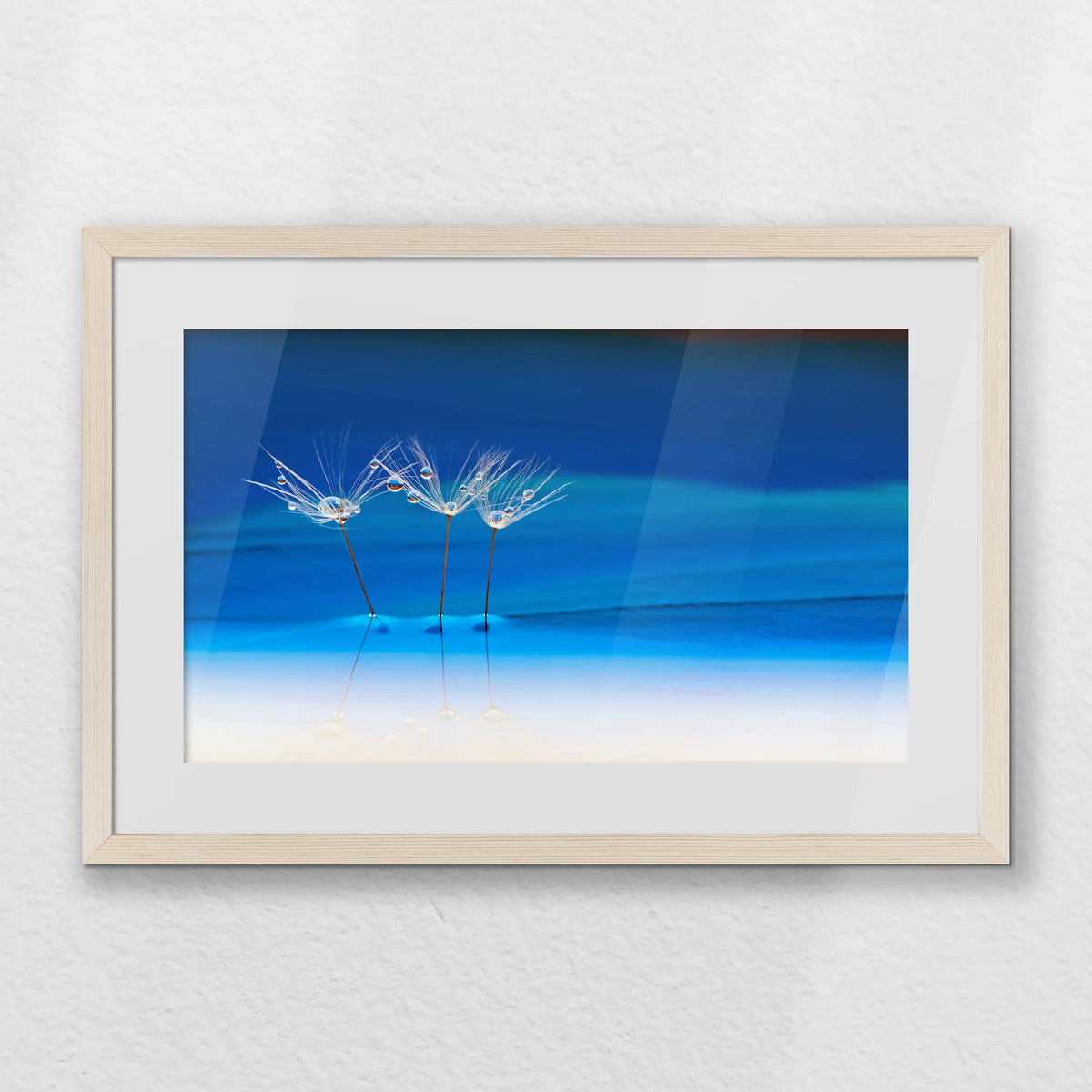 PNP060W040