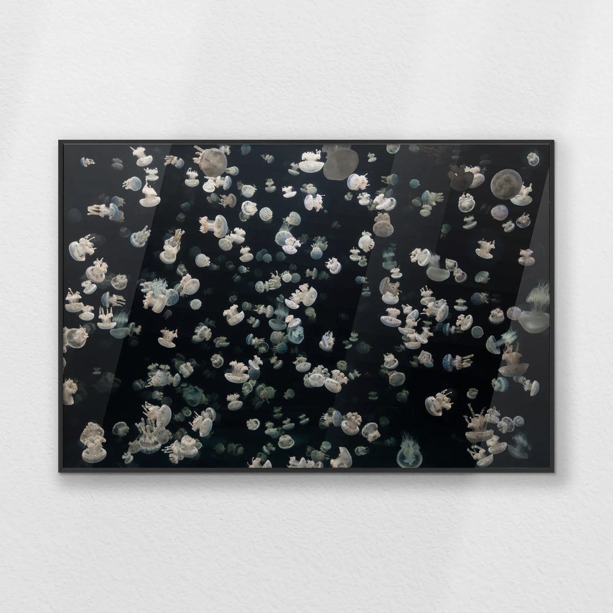 PB-093W062