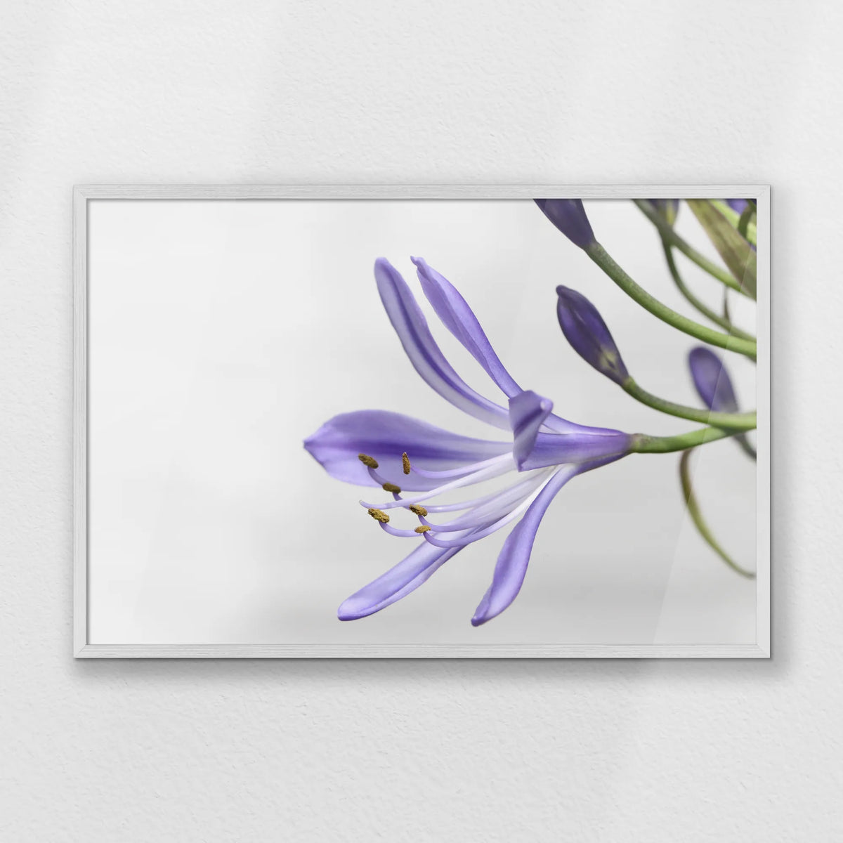 PW-093W062