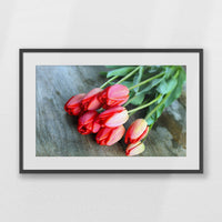 PKP093W062