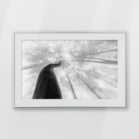 PSP100W070