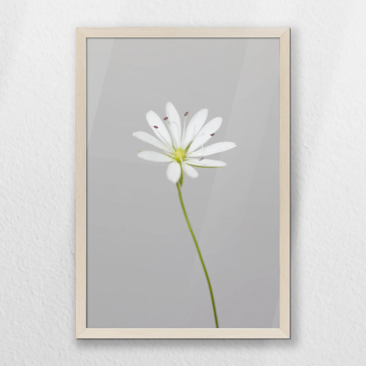 PN-040W060