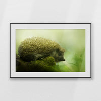 PBP100W070