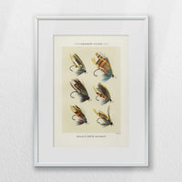 PSP030W040