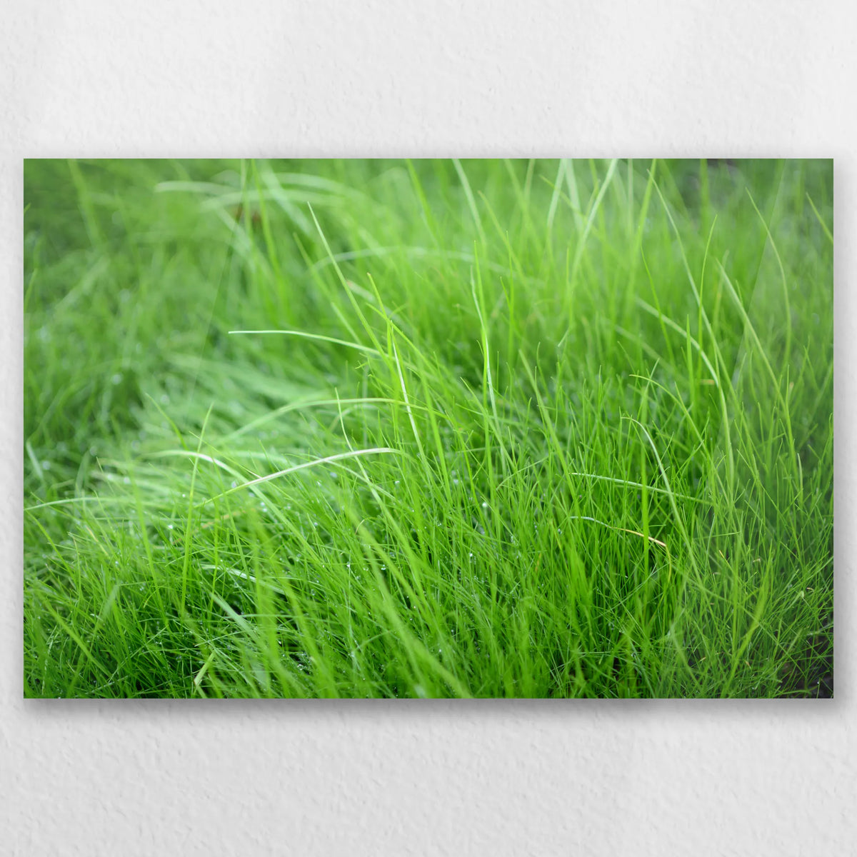 AC-060W040