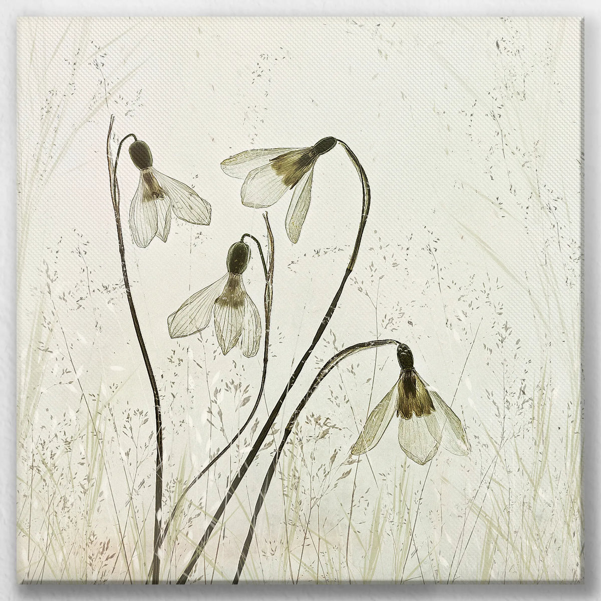 LW-050W050