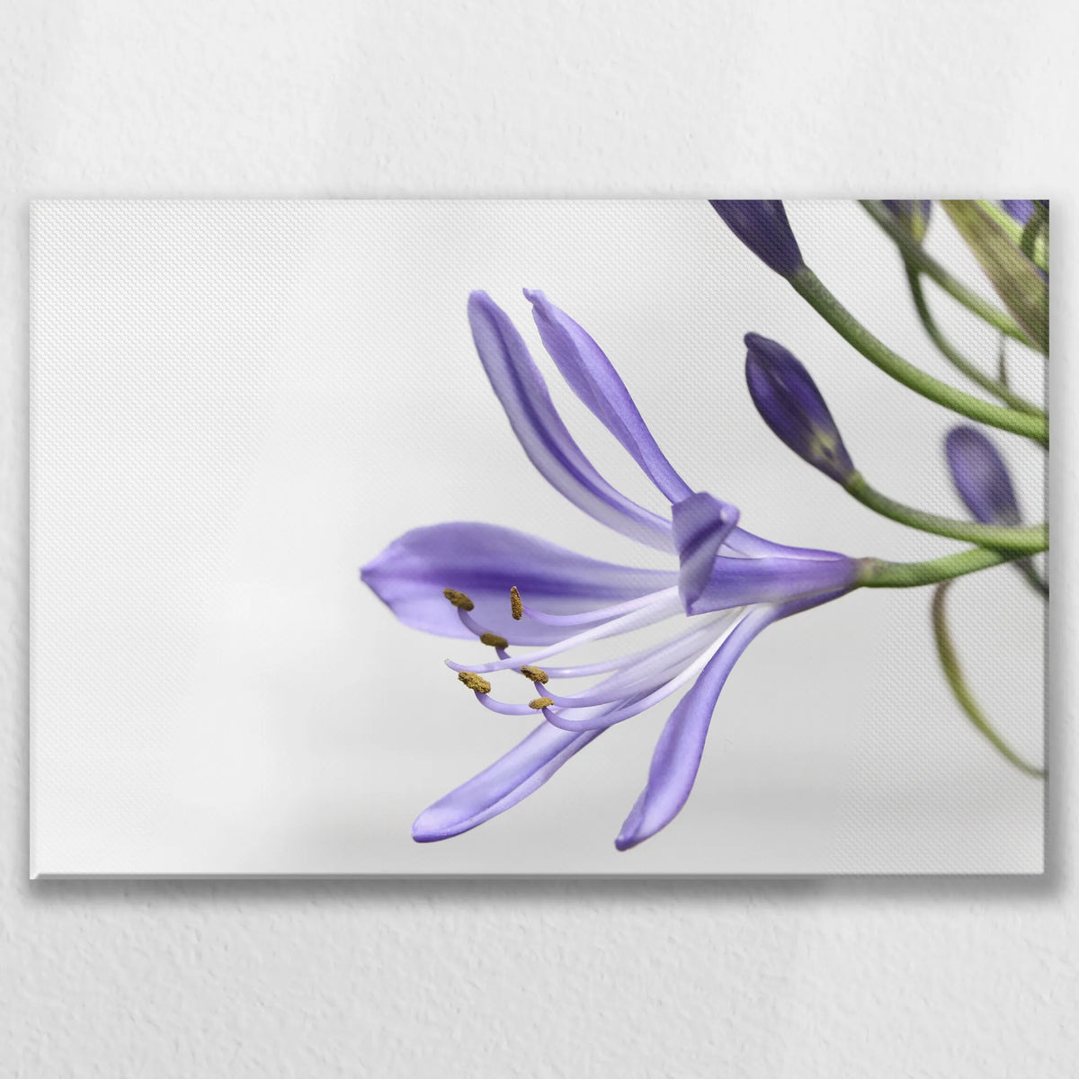 LW-075W050