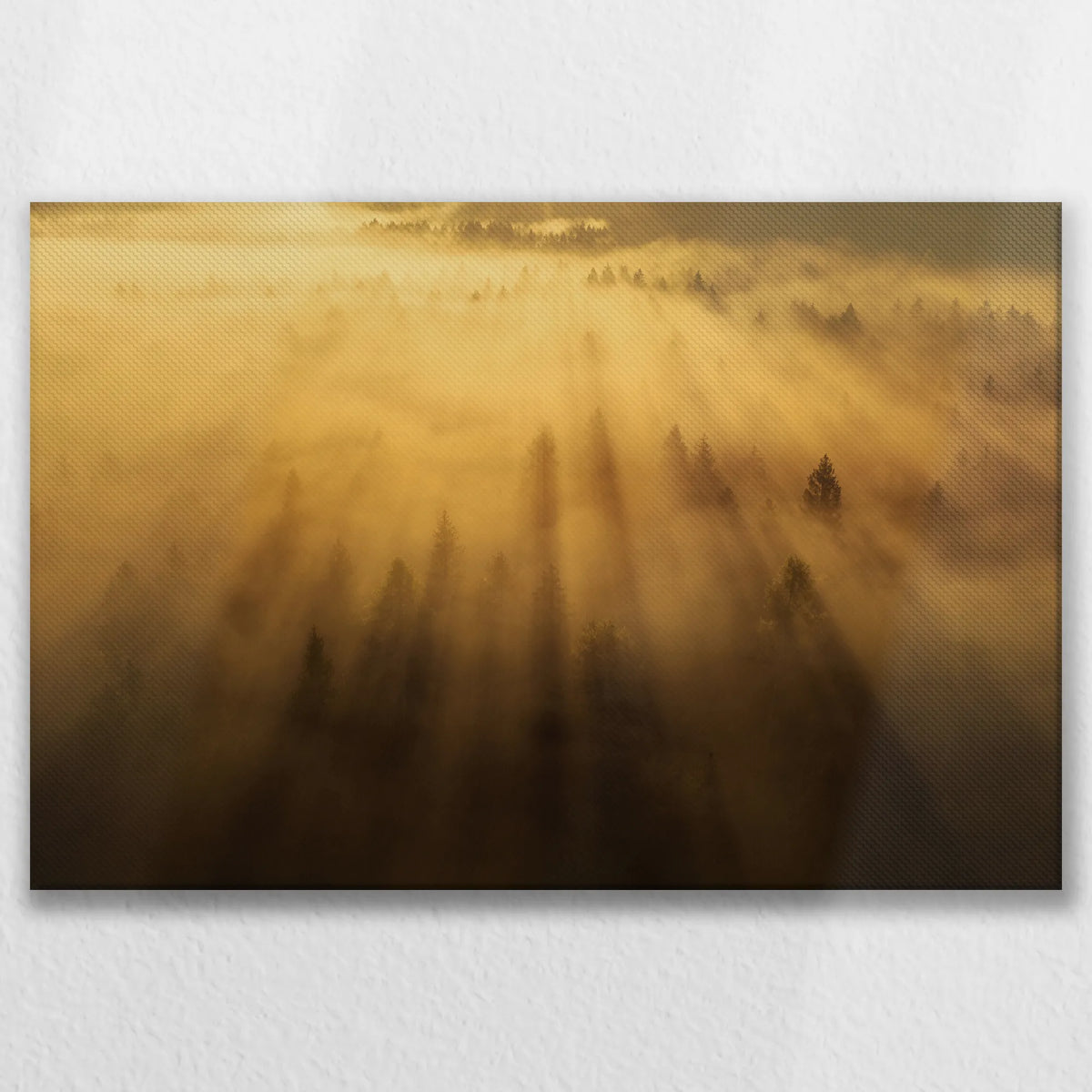 LW-075W050