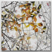 LW-030W030