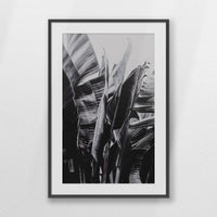 PKP070W100