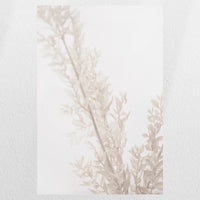 PO-030W045