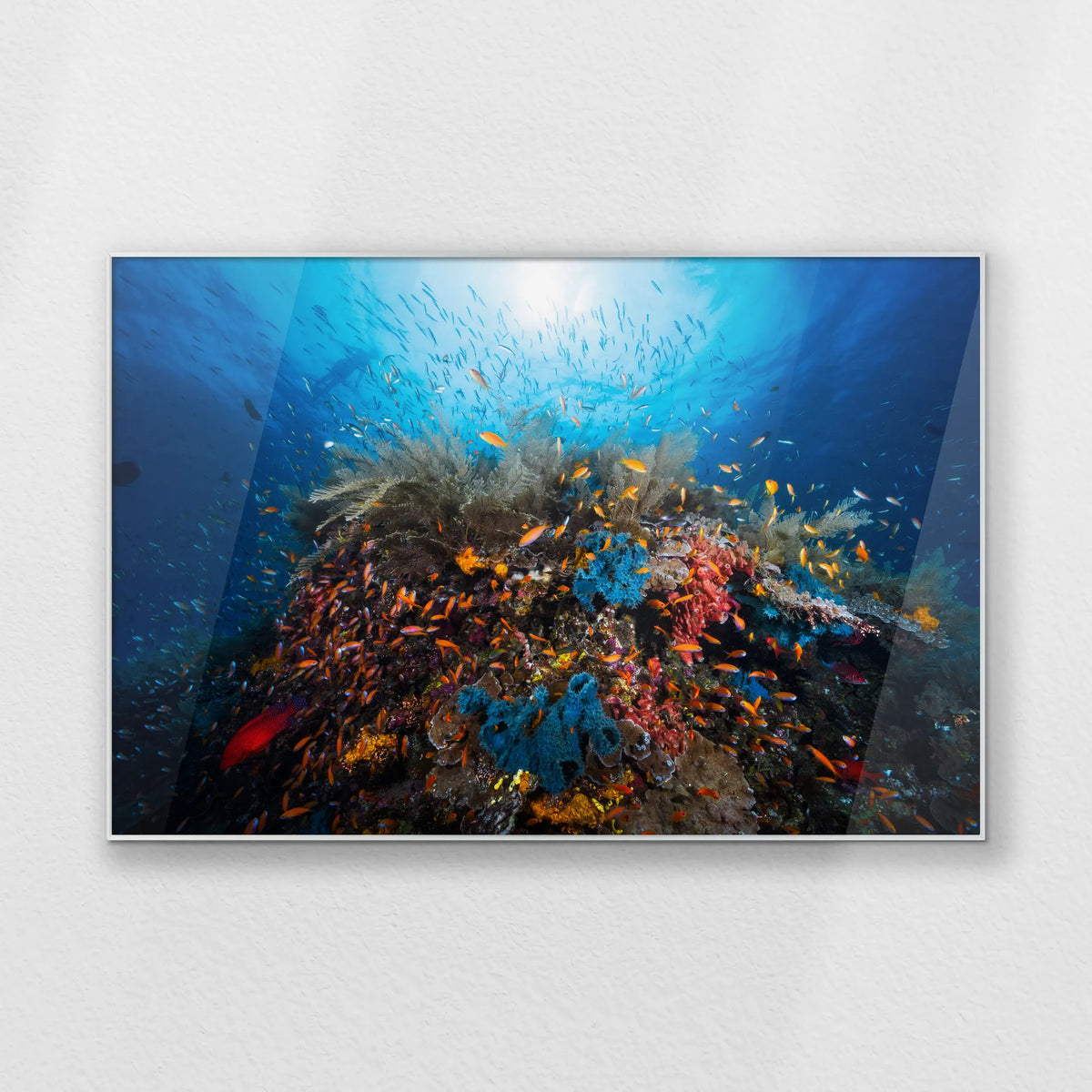 PS-120W080