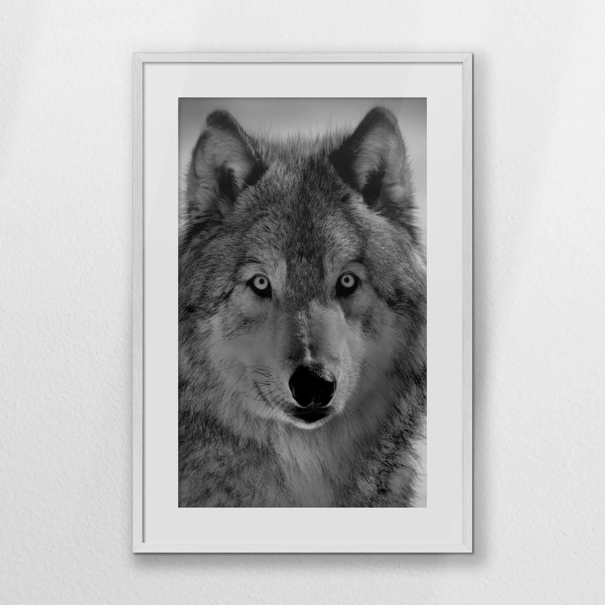 PWP062W093