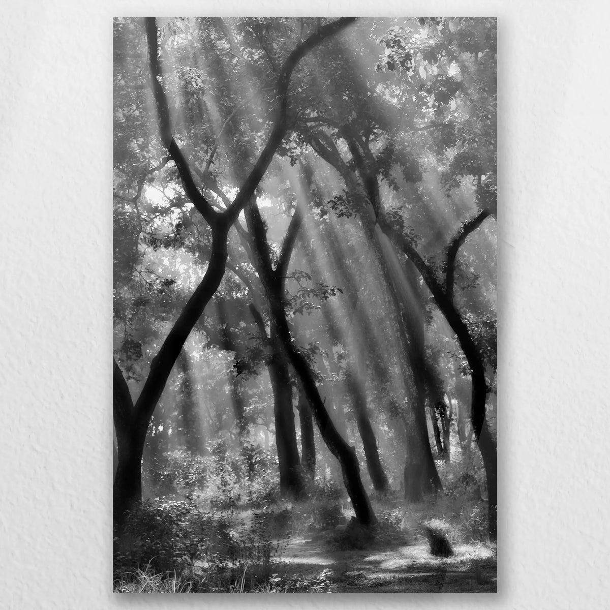 AC-040W060
