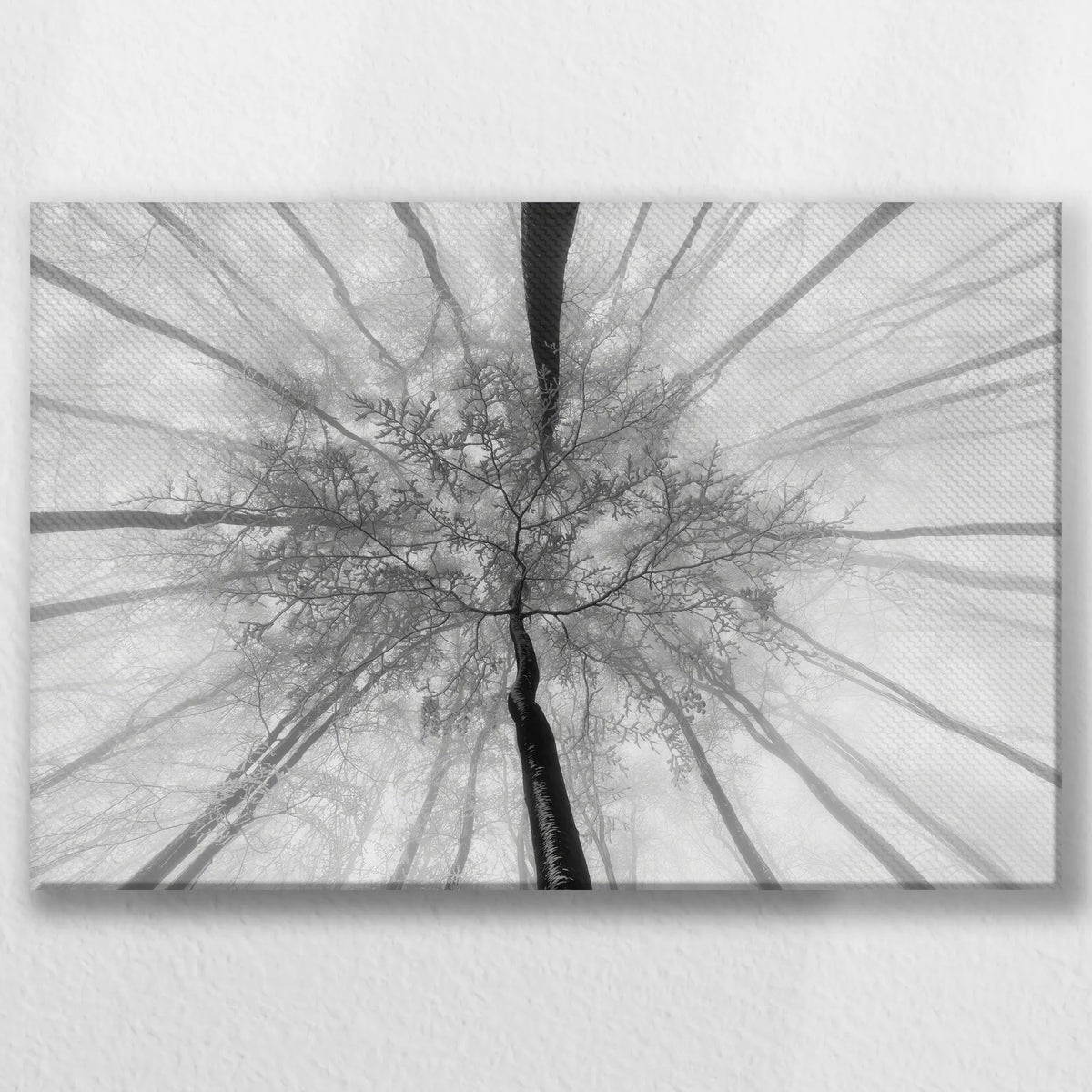 LW-045W030