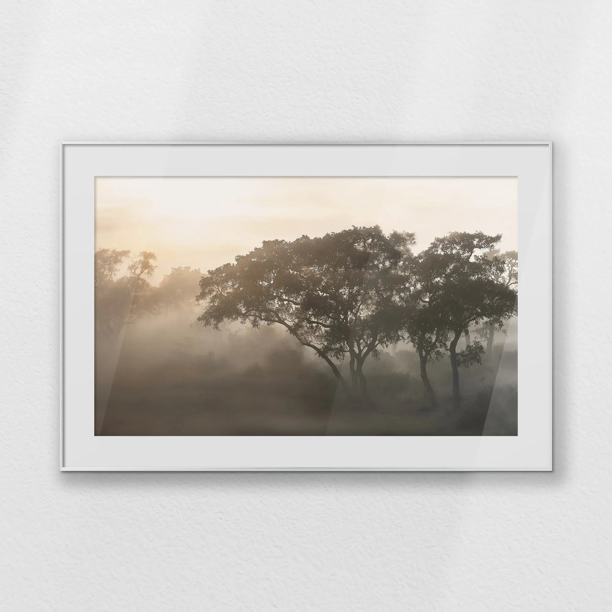 PSP120W080