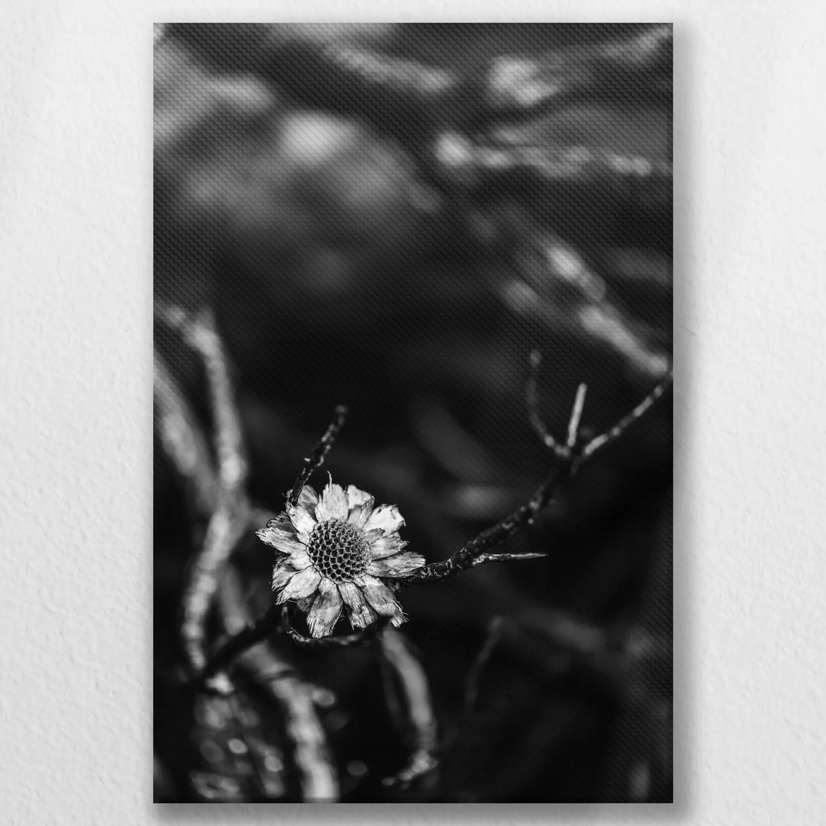 LW-020W030